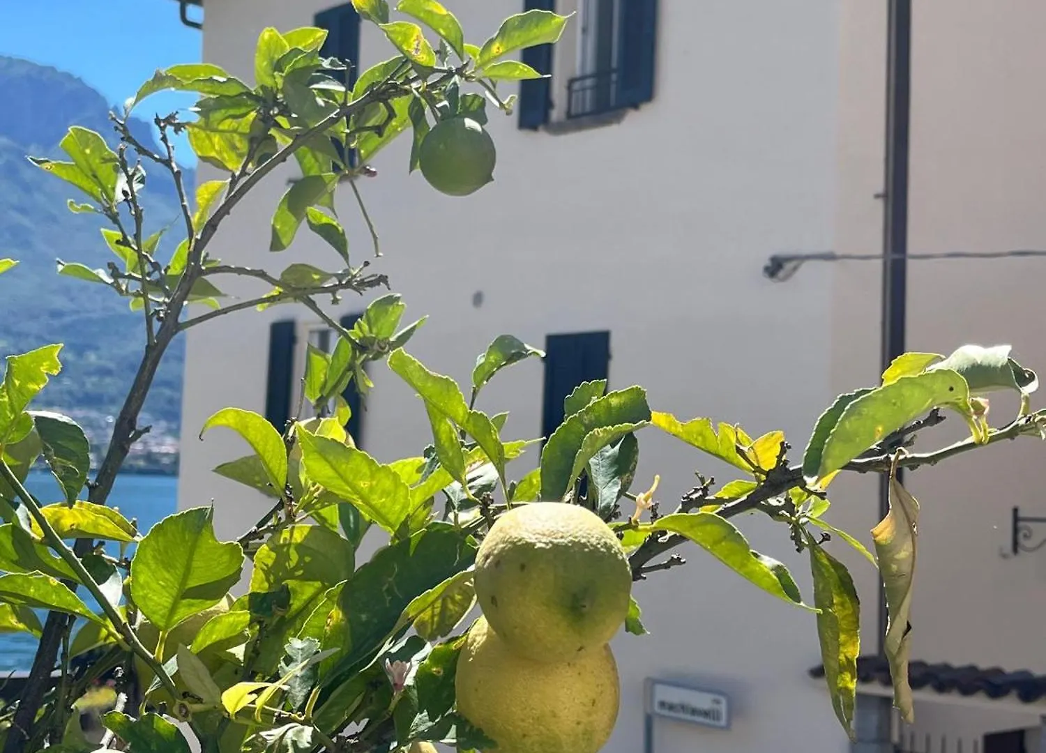 Apartment Domus Graziana - Lake Front Oliveto Lario