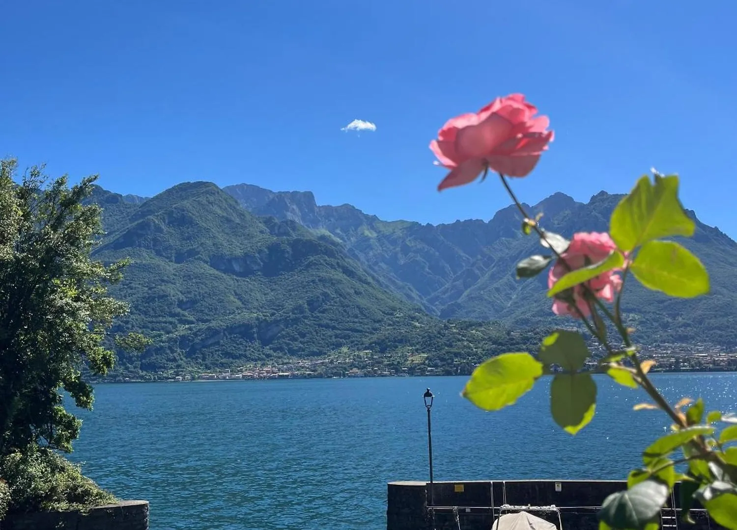 Apartamento Domus Graziana - Lake Front Oliveto Lario